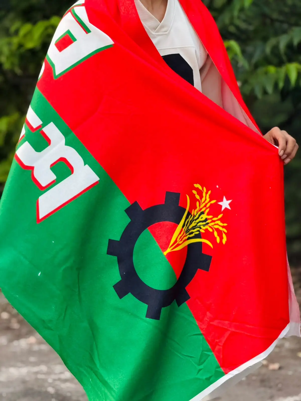 শালের ধানের শীষ ও তারকা প্রতীকের ক্লোজ-আপ